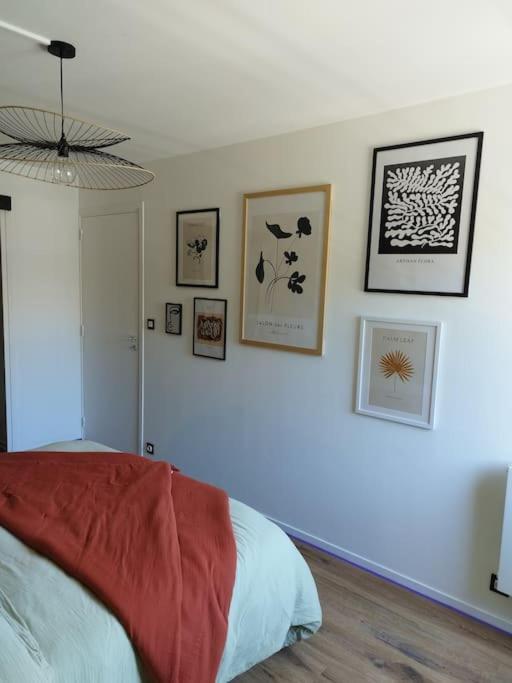 Appartement Au Coeur De Paimpol Ngoại thất bức ảnh
